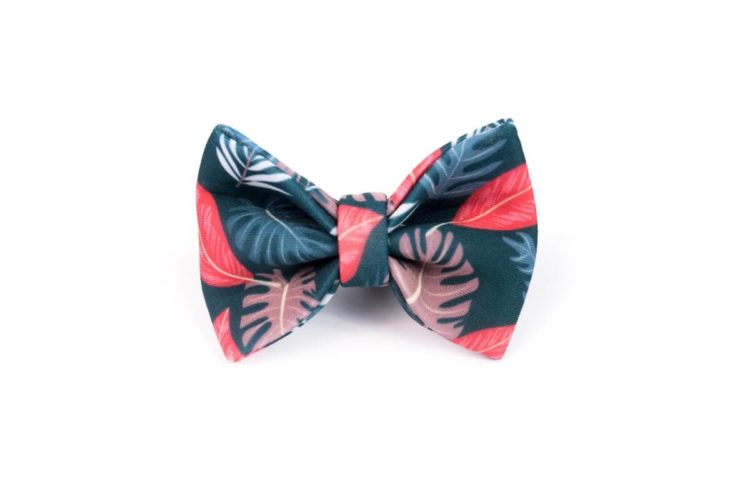 Orange Is The New Green