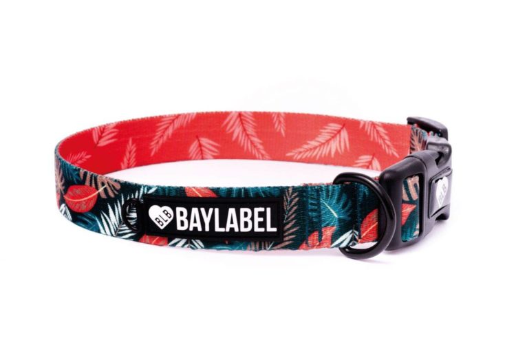 orange-is-the-new-green