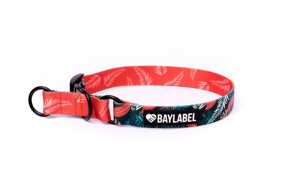 Obroża półzaciskowa Orange is the New Green