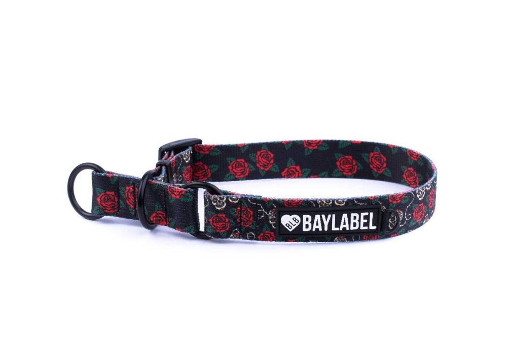 Obroża półzaciskowa Skulls`n`Roses