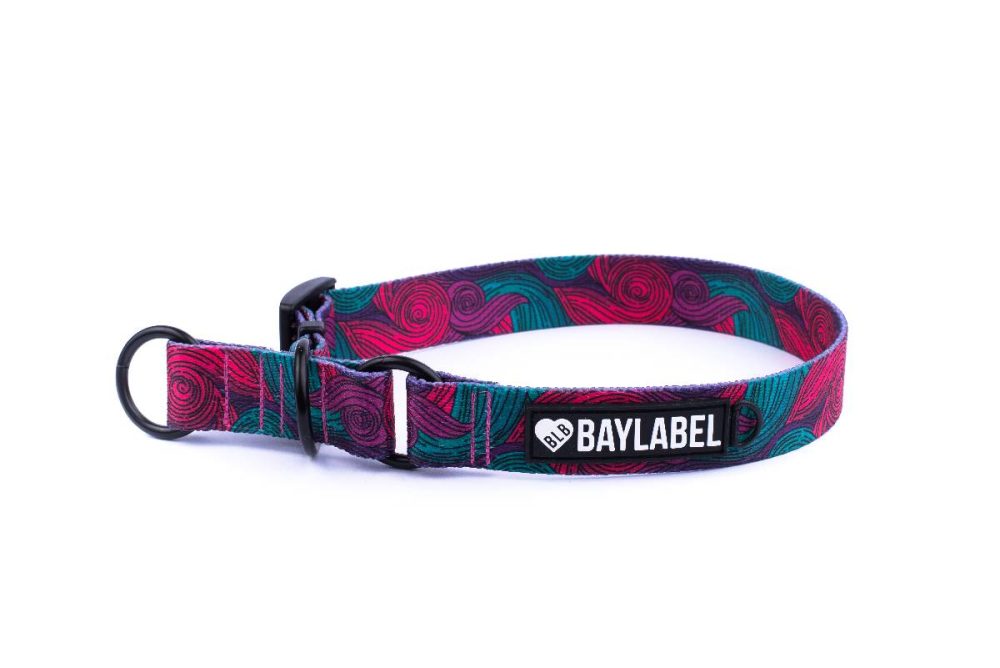 Obroża półzaciskowa Van Dogh