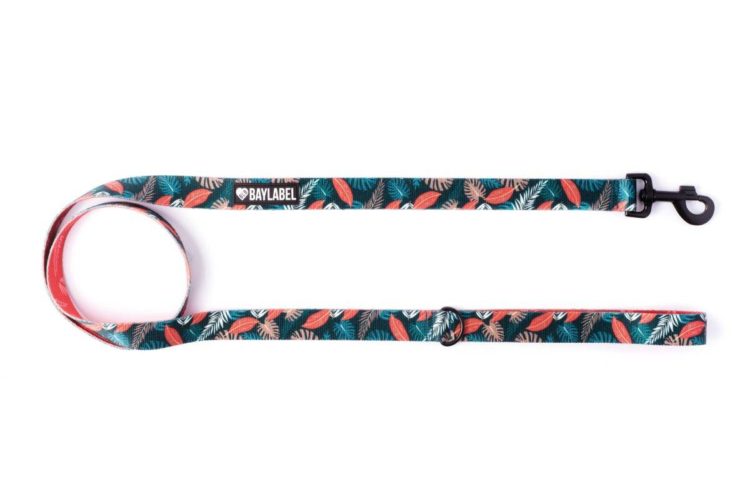 Orange Is The New Green