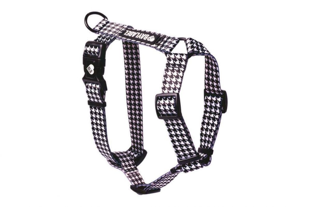 Szelki Black'N'White