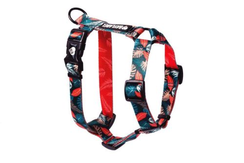 Szelki Orange Is The New Green