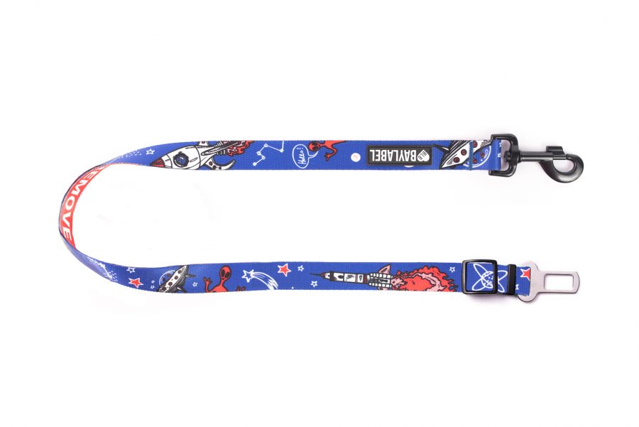 pas remove after walk