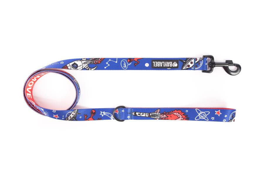 smycz miejska remove after walk