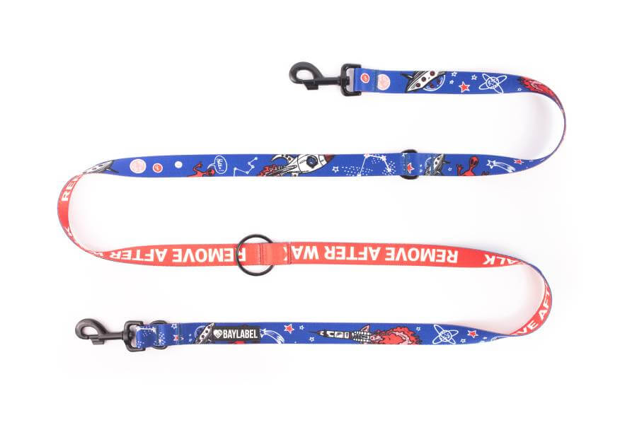 smycz przepinana remove after walk