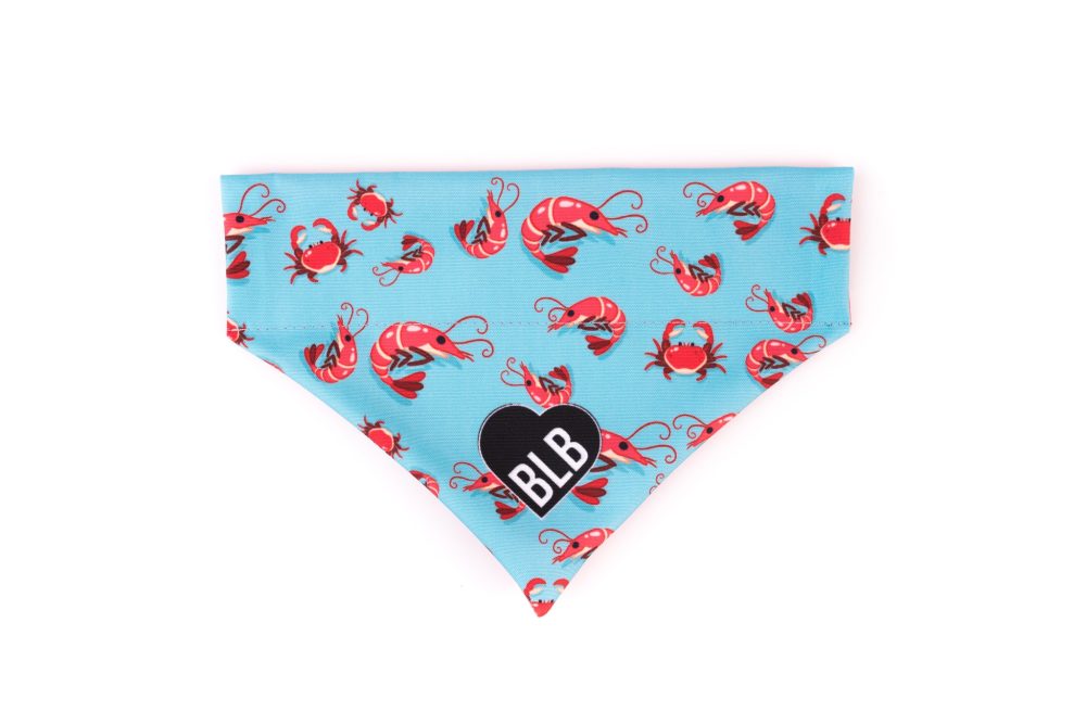 Bandamka Under The Sea