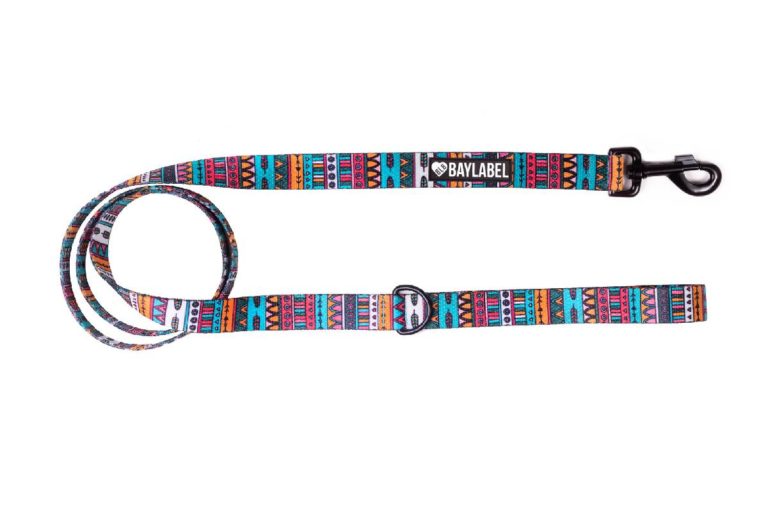 Smycz Miejska Colors Of The Wind