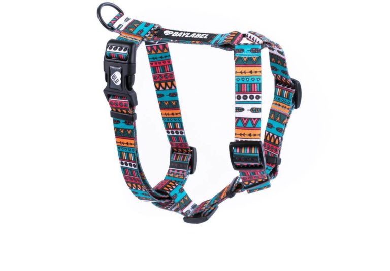 Szelki Colors Of The Wind